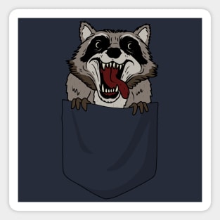 Raccoon in pocket Magnet